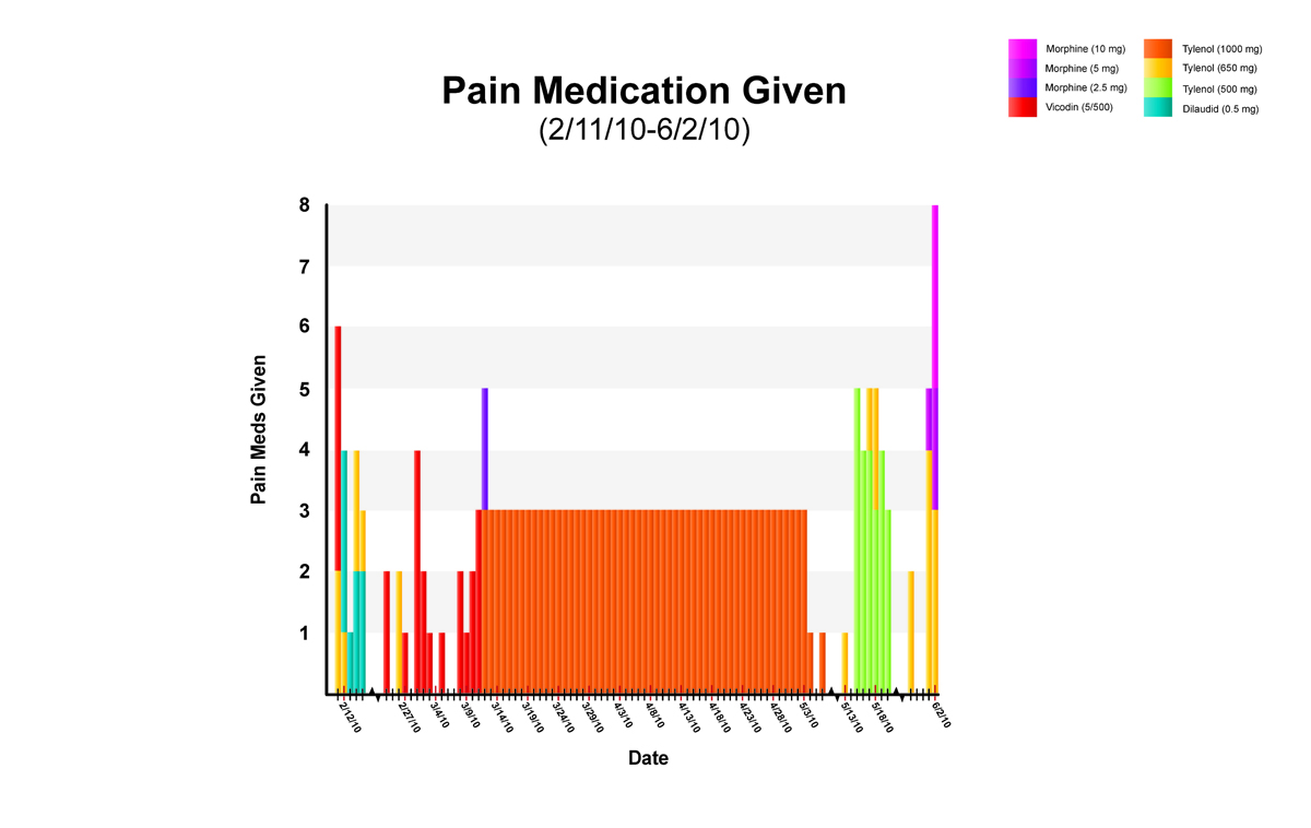 Pain Medication Exhibit